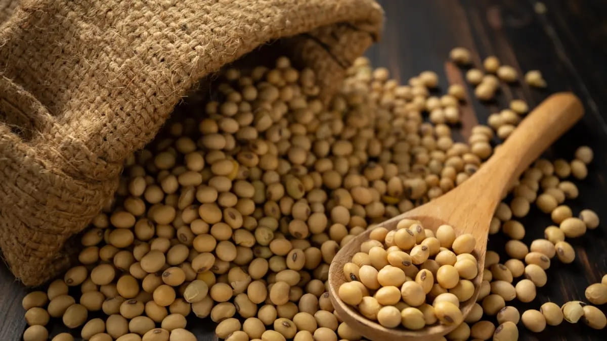 Importir Sepakat Jaga Harga Kedelai, Perajin Tahu Tempe Bernapas Lega