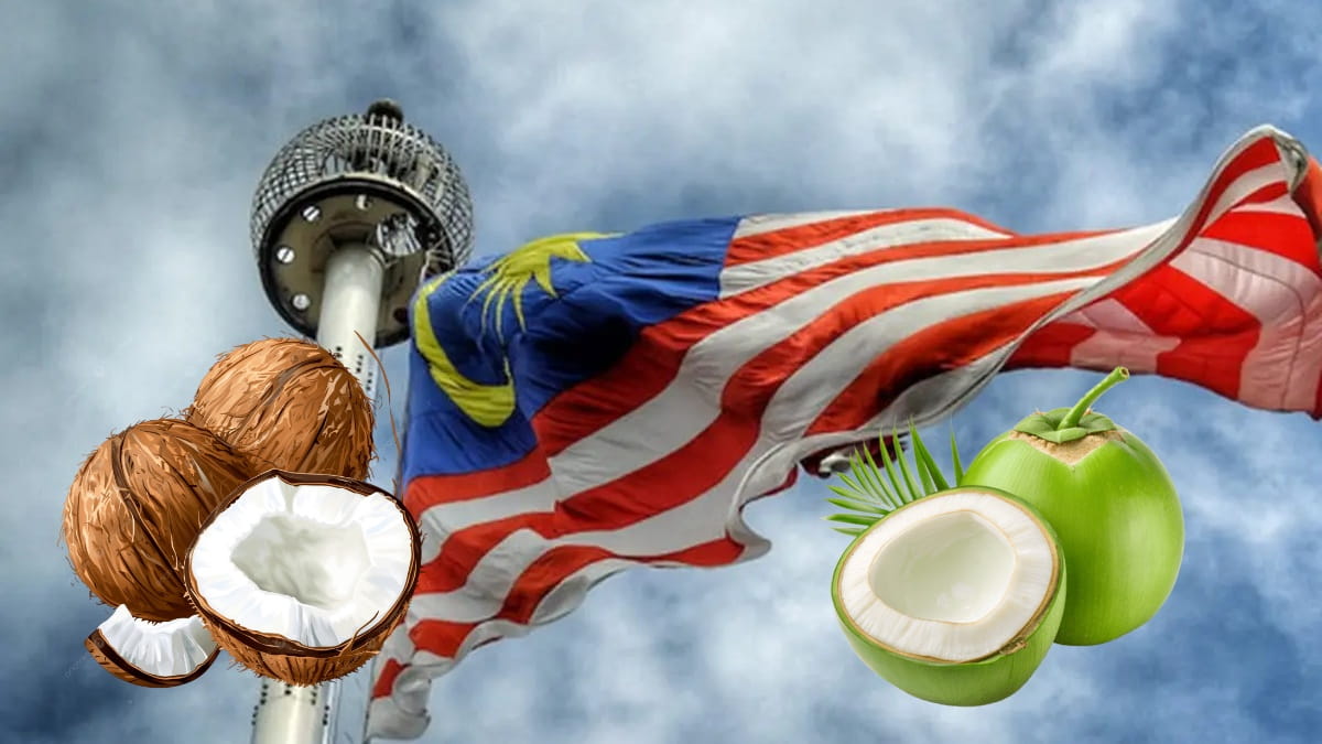 RI Suplai 80% Kebutuhan Kelapa Malaysia, Peluang Cuan Hilirisasi