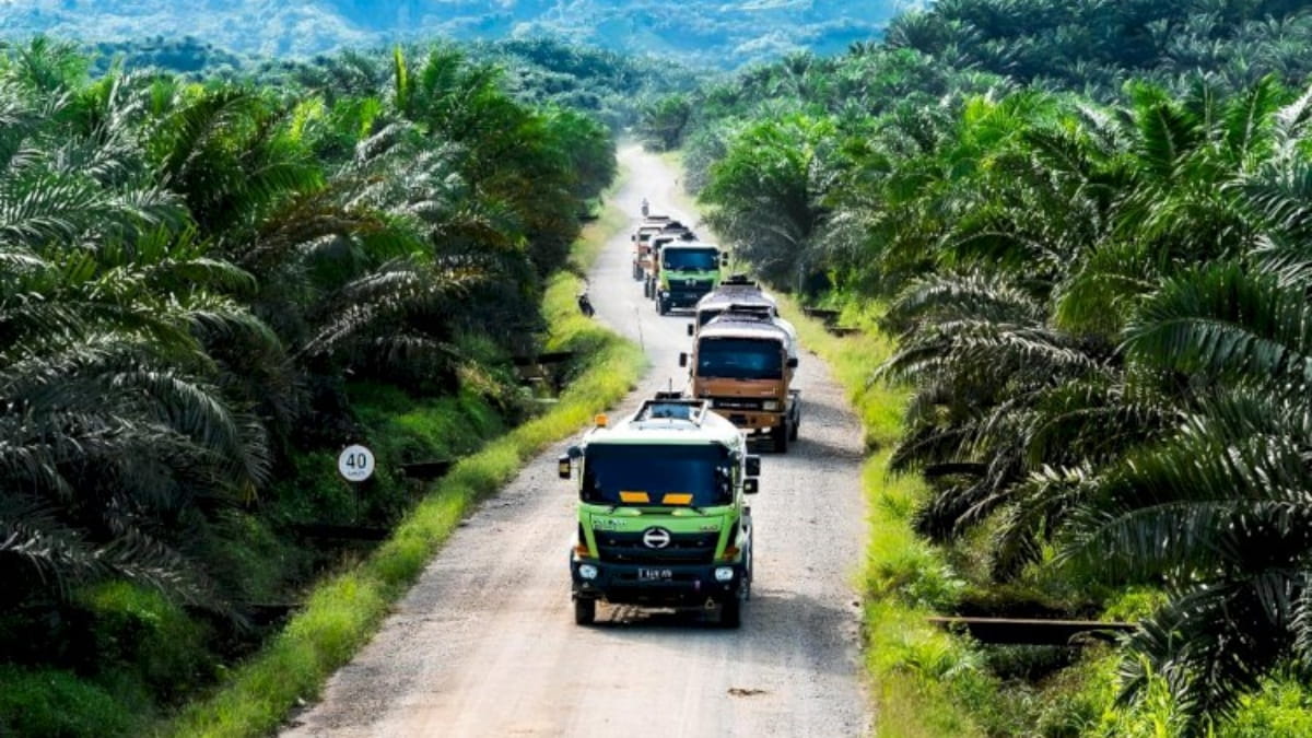 Impor LPG Capai Rp97 Triliun, BRIN Dorong Limbah Sawit Jadi Energi Alternatif